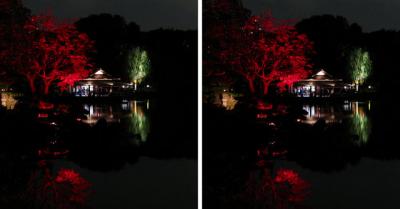 東京 清澄庭園ライトアップ 平行法3Dステレオ立体写真