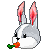 Rabbit-shaped Mask