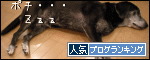 人気ブログランキングへ