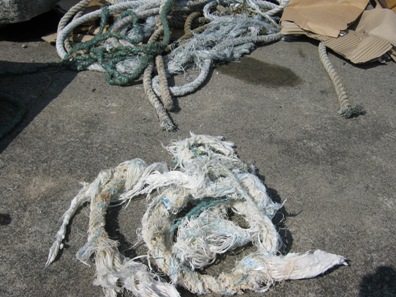 手前・今回絡まったロープ、奥・海上で回収されたロープ