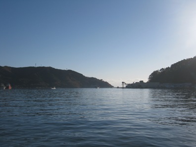 行きかうさんま船、女川港は朝から活気があふれています。