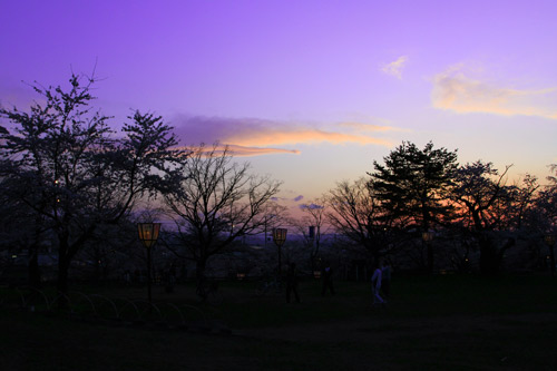 秋田県湯沢市　前森公園　桜