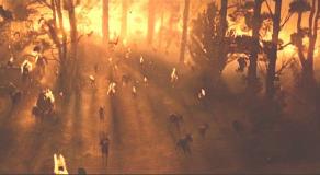 火の中の森の失踪する鹿の群れ