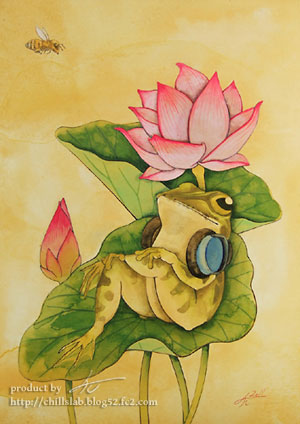 蓮の葉っぱでくつろぐトノサマガエルのイラスト 植物画イラスト