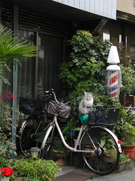 20100217_035