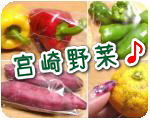 宮崎野菜の通販サイト「農家とダイレクト」