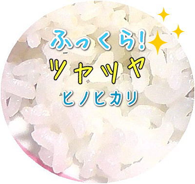 宮崎野菜の通販サイト「農家とダイレクト」 清水のおいしいお米　ヒノヒカリ