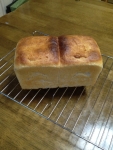 IMG_0293天然酵母パン