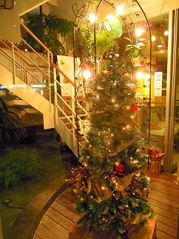 クリスマスツリー階段横