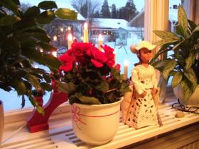 クリスマスを前に一般家庭の窓辺はいずこも飾付けが