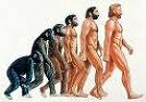 歴史・人類の進化