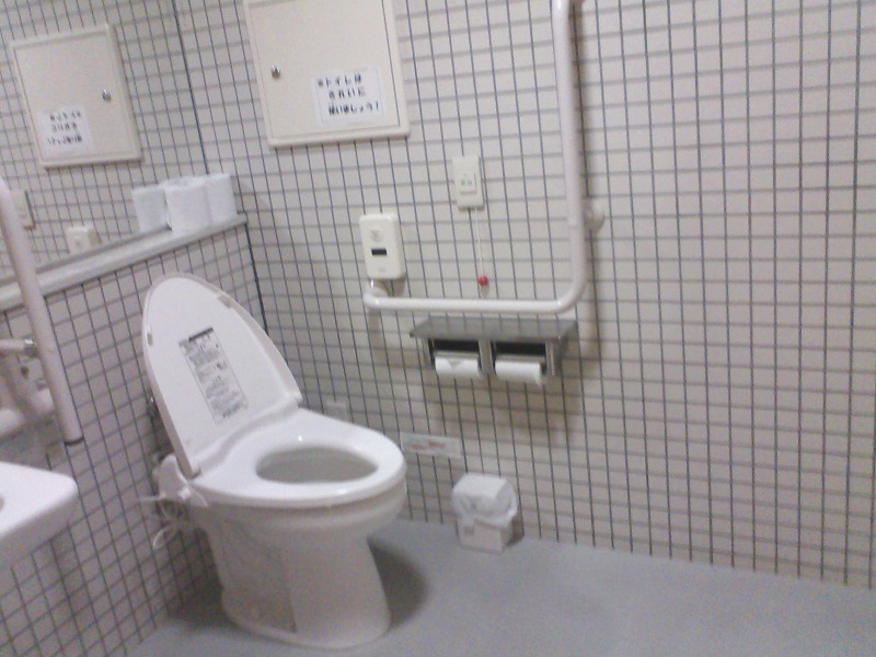 鎌ケ谷市議会議員 針貝かずゆきの市政日記 障害者トイレの謎 L字手すり問題