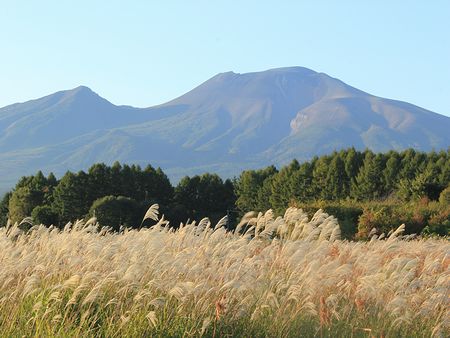 浅間山とススキ