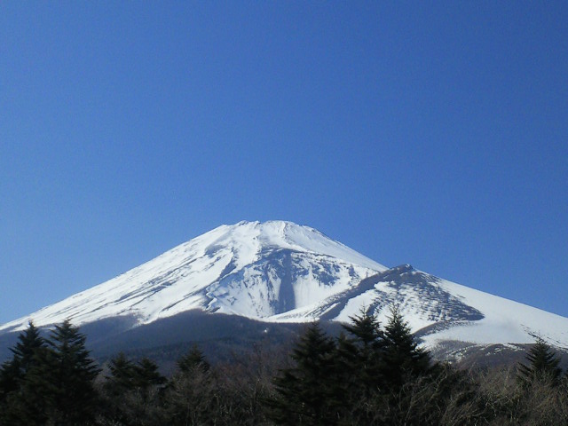 静岡　富士宮　そば　ブログ　本手打ちそば蕎友館　富士山
