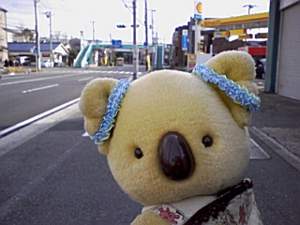 沖縄に行きたい！