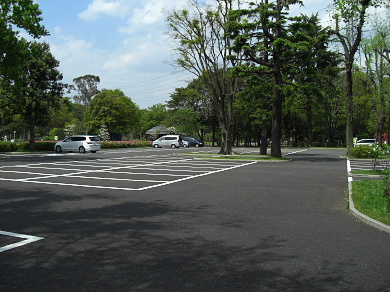 小金井公園の平日の駐車場