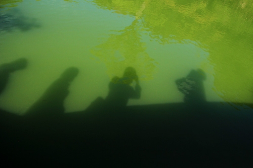 池の影