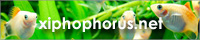 xiphophorus.net/