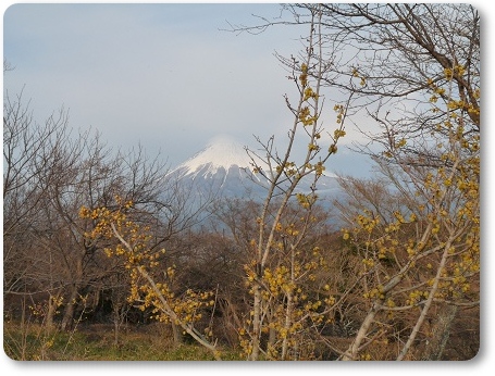 0125富士山