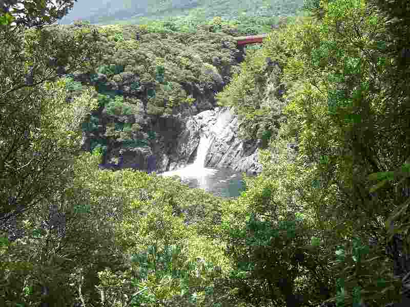 屋久島トローキの滝