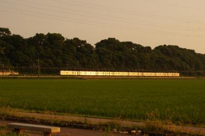 DSC0951.jpg