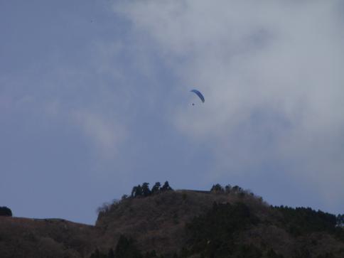 P4130001.jpg