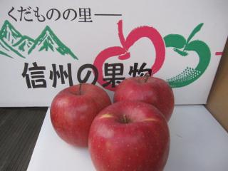 信州伊那谷の美味しいリンゴ
