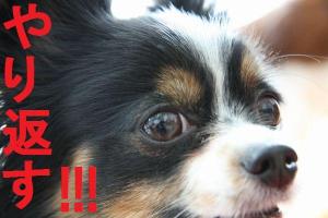 IMG_7535ikrff.jpg