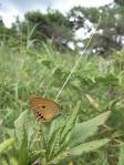 2010072509.jpg