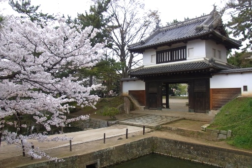 櫓門と桜
