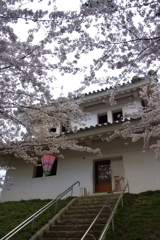 東櫓と桜