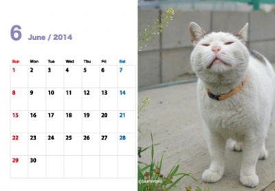 calendar2014004.jpg