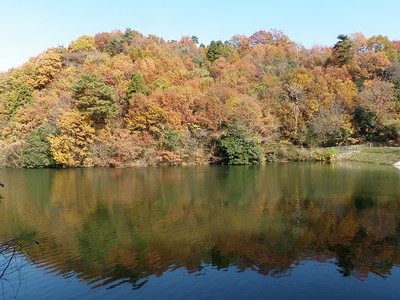 紅葉を映す大正池