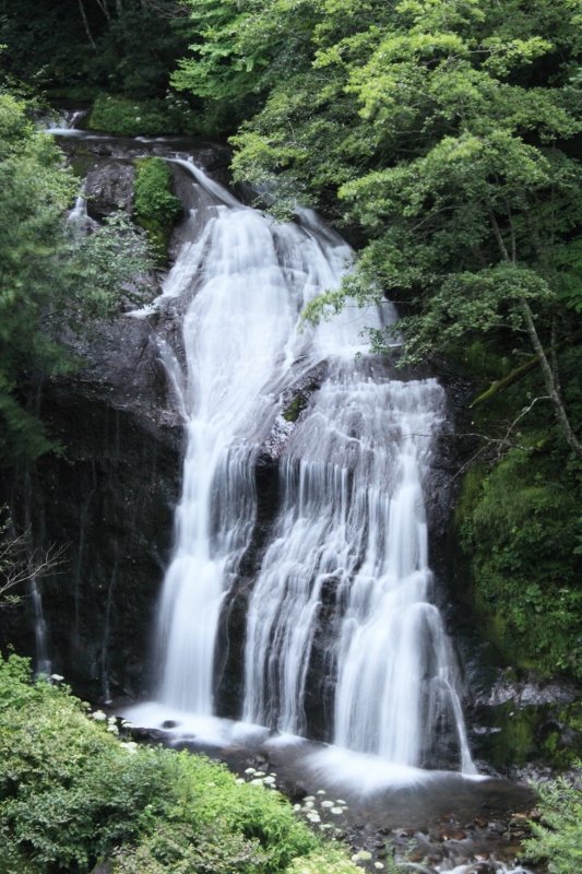 大きな白糸の滝 (533x800)