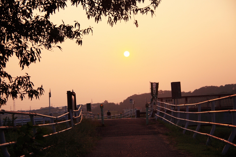 夕陽の散歩道 (800x533)