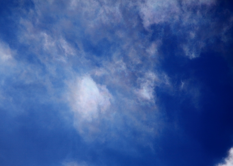 微かに彩雲が～～ (800x570)