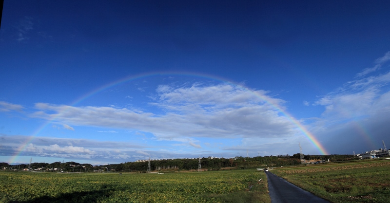 虹の パノラマ写真 (800x417)