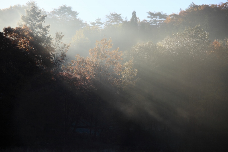 タカドヤ池の朝日の光芒 (800x533)