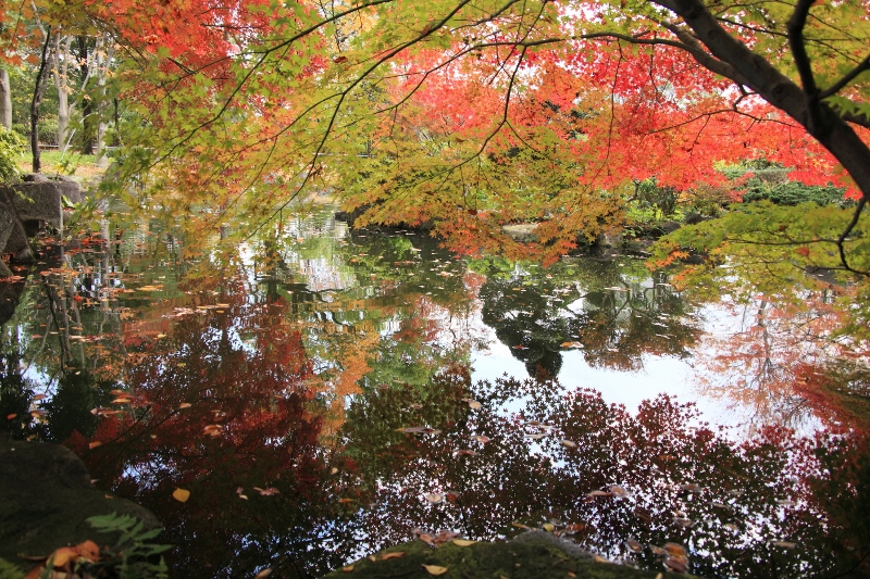 日本庭園 (800x533)